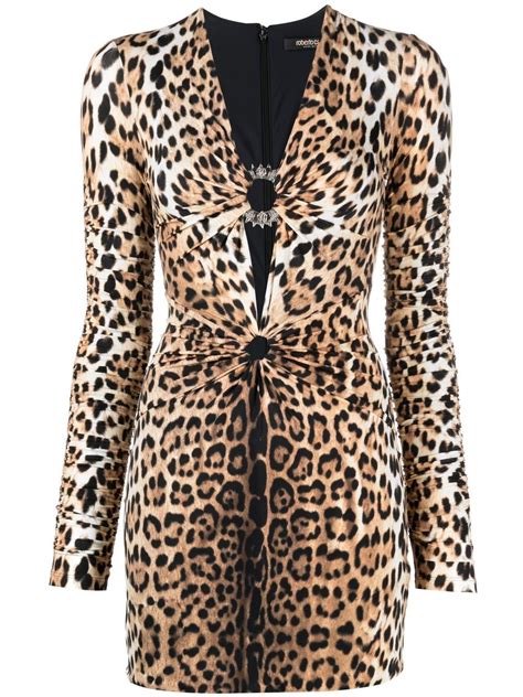 Roberto Cavalli Leopard Print V Neck Minidress Neutrals Farfetch Lt