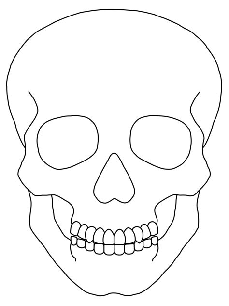 Free Simple Skull Drawing Download Free Simple Skull Drawing Png