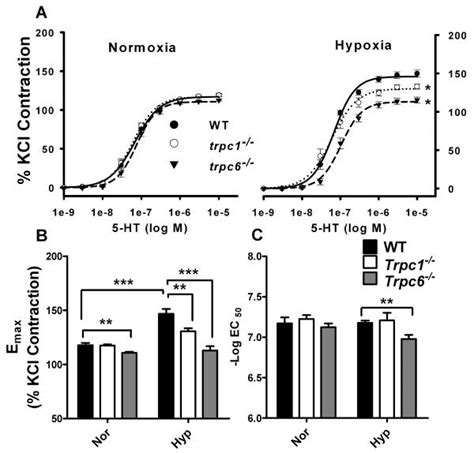 Classical Transient Receptor Potential 1 And 6 Contribute To Hypoxic