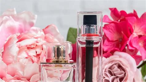 Para Causar Impacto 4 Perfumes Y Fragancias Sensuales Para Esta