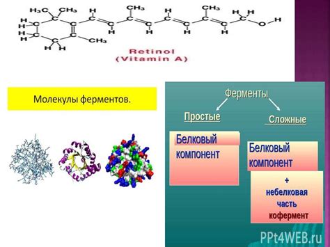 Витамины и их роль в организме человека - online presentation