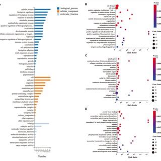 Gene Ontology Go Functional Enrichment Analysis Of Degs A