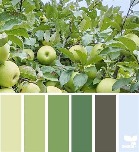 Design Seeds | Design seeds, Seeds color, Color schemes colour palettes