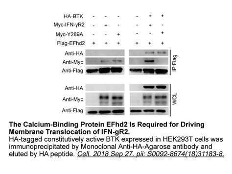 美国apexbio中文官网 Influenza Hemagglutinin Ha Peptideepitope Of Ha Tag