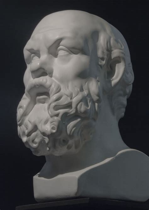 голова Сократа | Portrait sculpture, Classic sculpture, Anatomy sculpture
