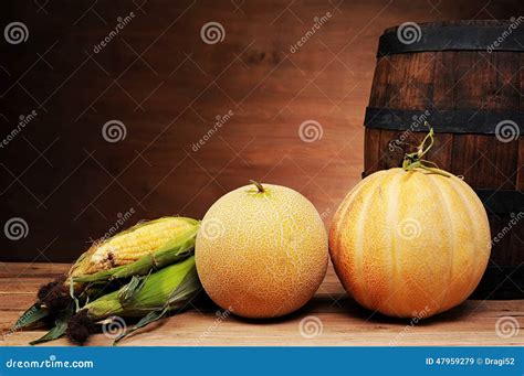 Melons and young corn stock image. Image of diet, dieting - 47959279