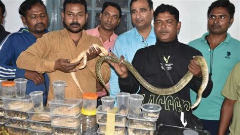 Elvish Yadav May Have Connection With Jamshedpur Snake Venom Case