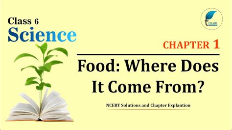 NCERT Solutions Class 6 Science Chapter 1 YouTube