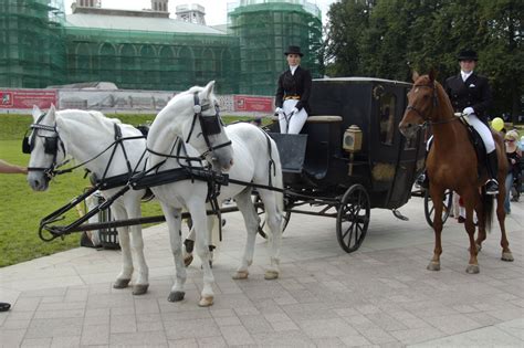 Wedding Dreams: Horse Carriages for Weddings