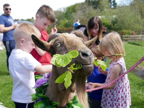 Almond Valley Heritage Centre, Livingston | What's On Edinburgh