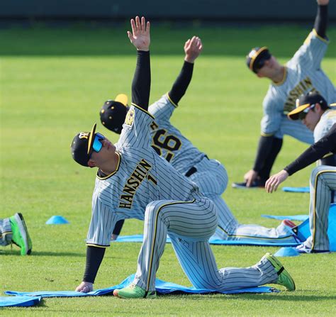 【阪神】森下翔太が2軍本隊アップに合流「やっと流れに加われた」一部別メニューも柵越え8本 プロ野球写真ニュース 日刊スポーツ