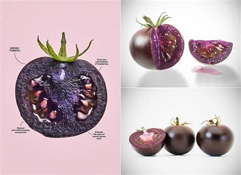 Genetically Modified Purple Tomato Offers Anticancer Properties From