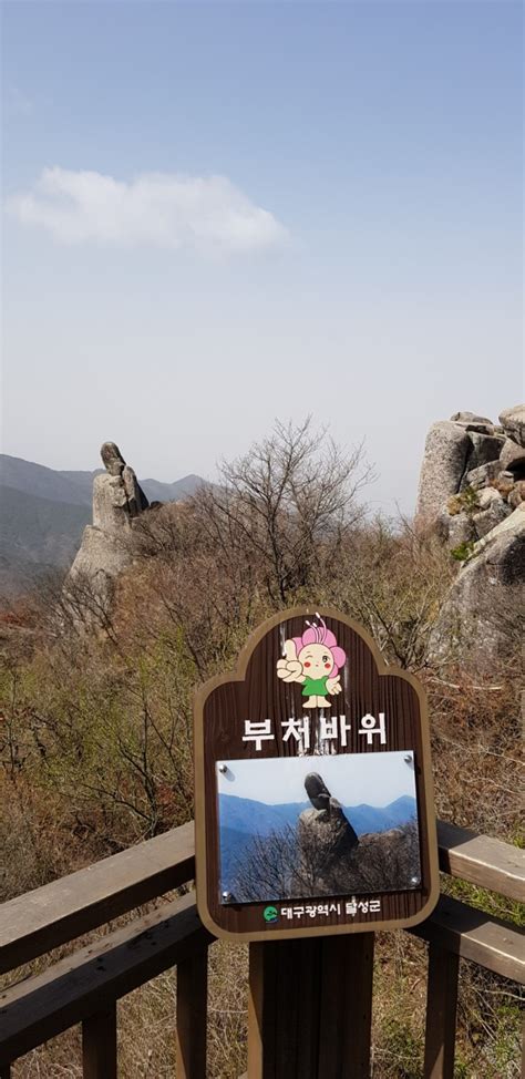 100대 명산 묵언수행74달성 비슬산琵瑟山 네이버 블로그