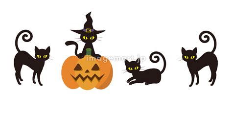 ハロウィンの黒猫 イラスト素材 [143629295] イメージマート