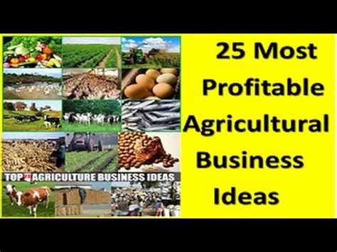 25 Most Profitable Agricultural Business Ideas Agri Business Earn