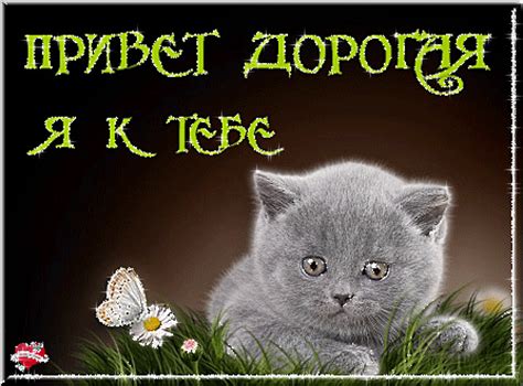 Привет дорогая - Привет картинки и открытки БестГиф