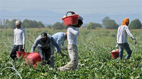 Caltanissetta Leconomia Agricola In Mano Alla Criminalit