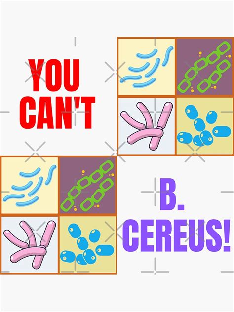 Lab Tech Funny You Cant B Cereus Microbiology Sticker For Sale By