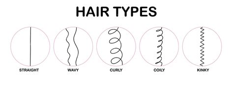 Premium Vector Hair Types Classification Hair Types Straight Wavy Curly Coily Kinky Scheme Of