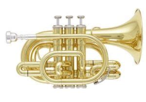 Best Pocket Trumpets Reviewed and Rated | TrumpetHub