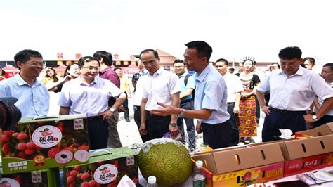 中国荔枝开采节暨陵水荔枝文化节开幕，现场交易近4亿元资讯澎湃新闻 The Paper