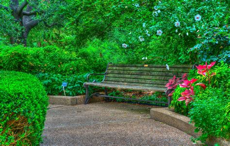 Photo Wallpaper Trees Flowers Park Hdr The Bushes Park