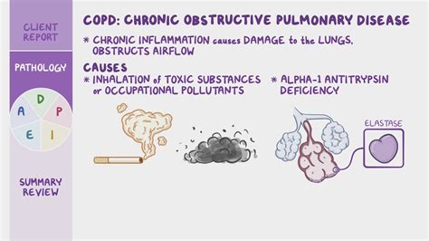 Chronic Obstructive Pulmonary Disease COPD Nursing Process ADPIE