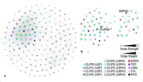 Gene Co Expression Network Of Genes With Putative Roles In Melanization