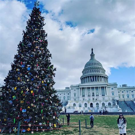 Capitol Christmas Tree - Washington DC | American travel destinations ...