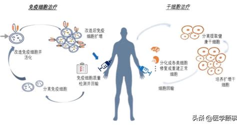 细胞基因治疗的发展历程与趋势基因新浪新闻