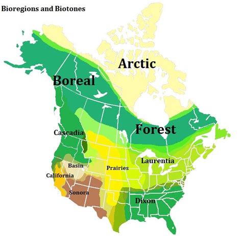 Map of North America with States, Provinces, and Great Lakes