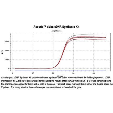 QMAX CDNA Synthesis Kit