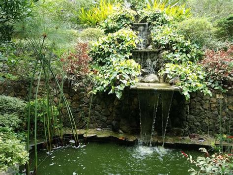 Top 3 Things In Terrazas De Flores Botanical Garden Cebu
