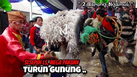 Sesepuh Ls MEGA PAKUAN Turun Gunung Pentas Terbaru Di Rancanumpang