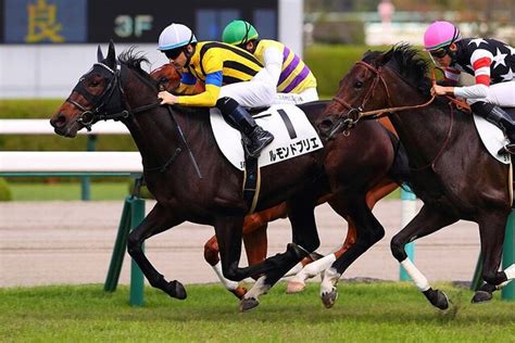 【新馬阪神5r】良血ルモンドブリエがデビューv！母は仏二冠牝馬 ライブドアニュース