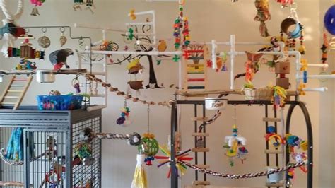 Pin On Parrot Room Ideas