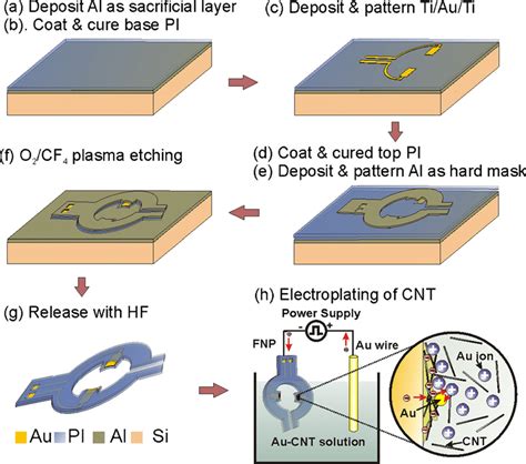 The Fabrication Process Of C FNPs A Deposit Al As Sacrificial Layer