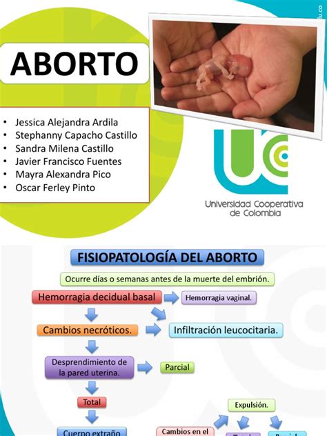 Aborto Descargar Gratis Pdf Aborto Espontáneo El Embarazo