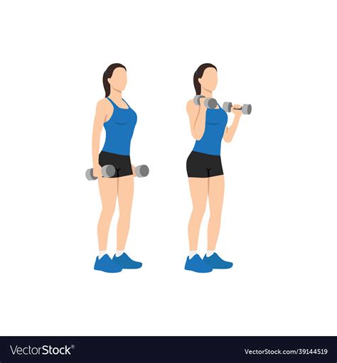 Woman doing dumbbell bicep hammer curls Royalty Free Vector