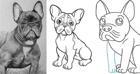 20 Easy French Bulldog Drawing Ideas - How to Draw