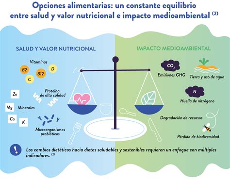 Dietas Saludables Y Sostenibles Infografia Yogurt In Nutrition