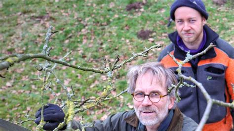 Obstbaumschnittexperte Michael Ruhnau Wenn Der Apfelbaum Rebelliert