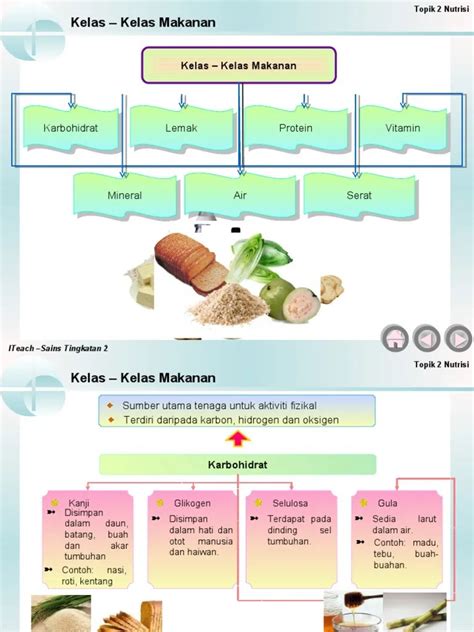 7 Kelas Makanan Sains Tahun 3 Kelas Makanan Dan Khasiatnya Valentino Dahlberg