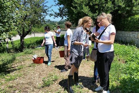 Tripadvisor Caccia Al Tesoro E Degustazione Di Vini Fornito Da Tili