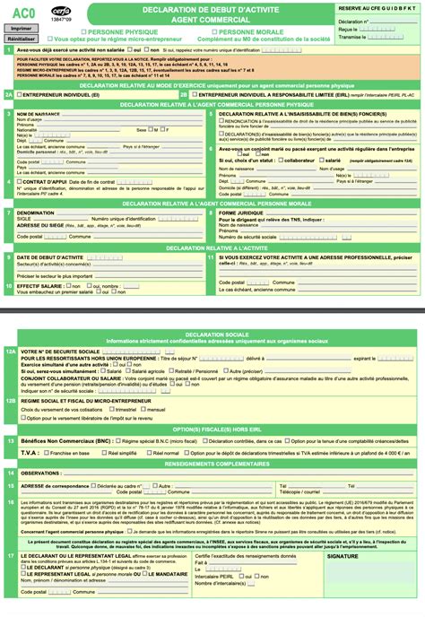 Courbe Aviation Brochure Formulaire Cerfa Micro Entreprise Picasso