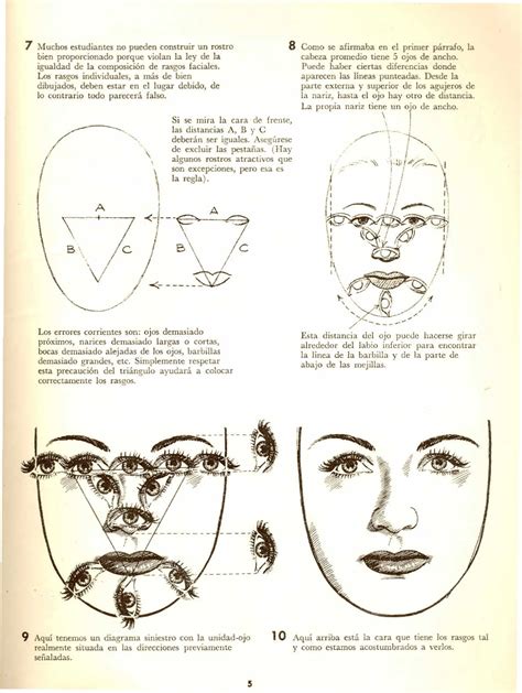 Dibujando La Cabeza Y El Cuerpo Humano Jack Hamm Pdf