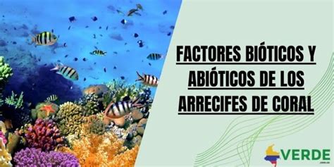 Factores bióticos y abióticos de los arrecifes de coral Colombia Verde