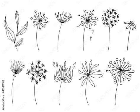 Continuous Line Drawing Hand Drawn Set Of Simple Flowers Black Sketch