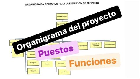 C Mo Crear Un Organigrama De Proyecto Efectivo