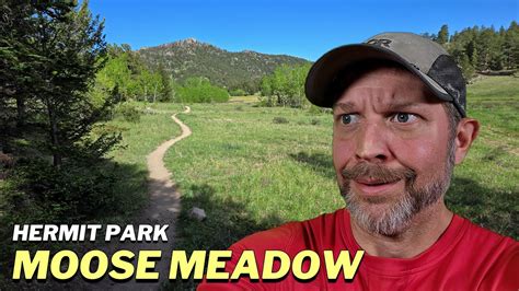 Hiking Hermit Park Limber Pine Trail To Moose Meadow Trail YouTube